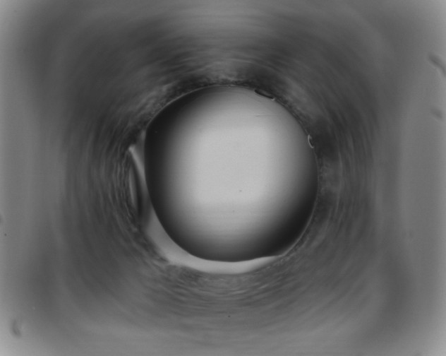 X0000097810029200803141128