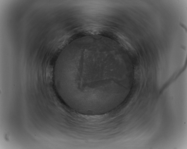 X0000097810030200803141128