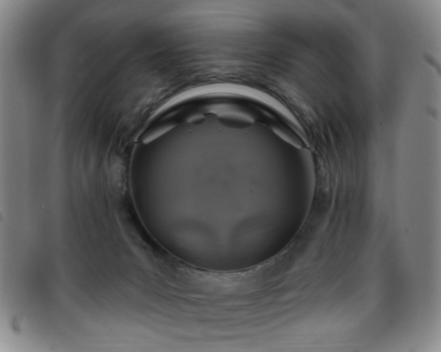 X0000097810031200803141128