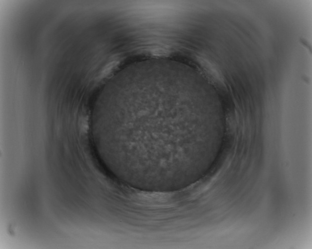 X0000097810032200803141128