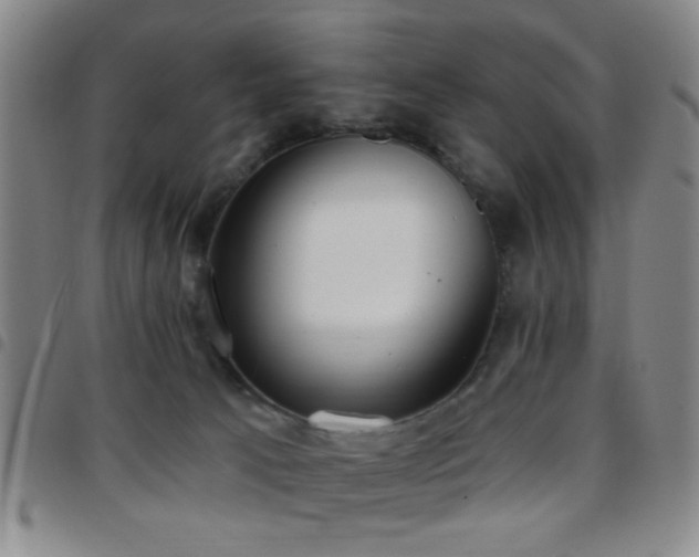 X0000097810033200803141128