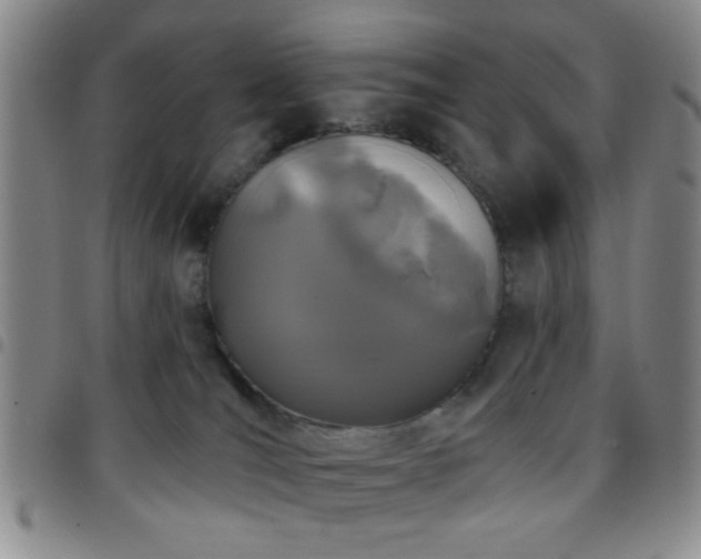 X0000097810036200803141128