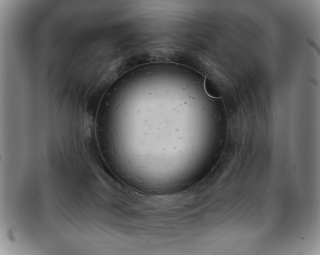 X0000097810038200803141128