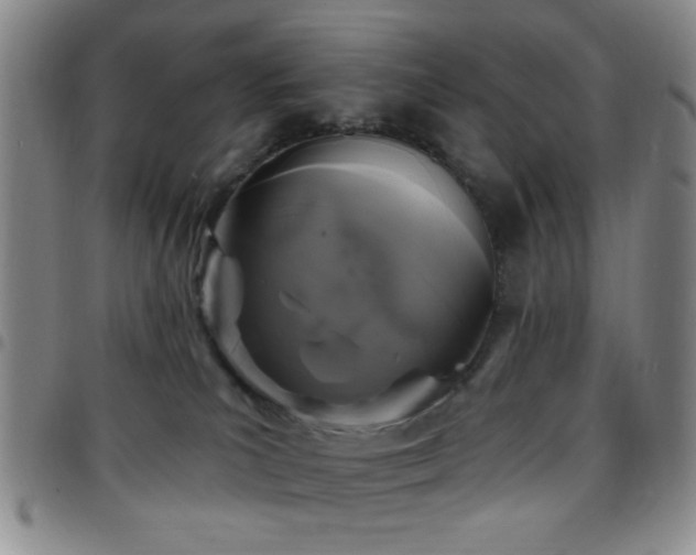 X0000097810039200803141128
