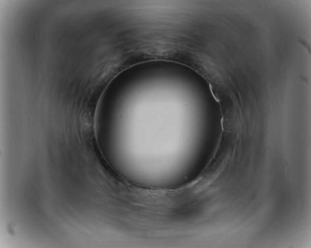 X0000097810040200803141128