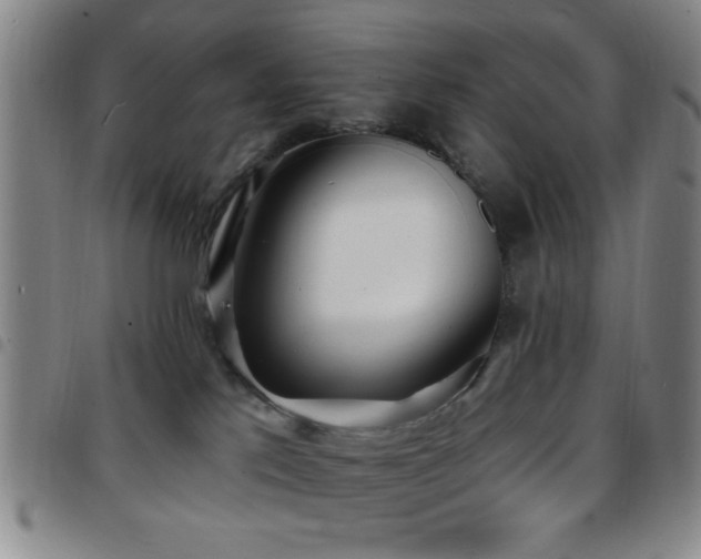 X0000097810041200803141128