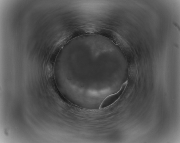 X0000097810043200803141128