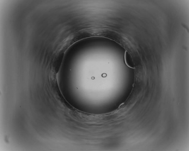X0000097810044200803141128