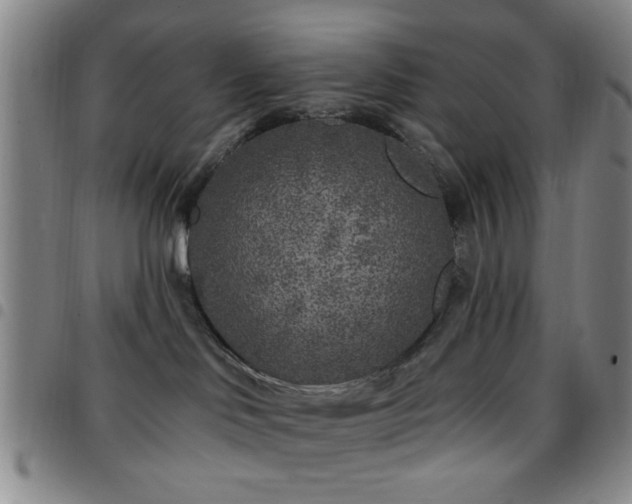 X0000097810046200803141128