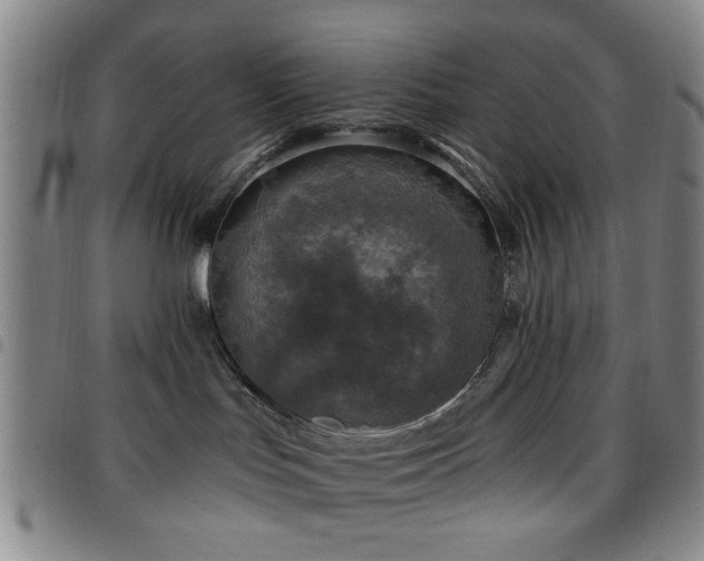 X0000097810047200803141128