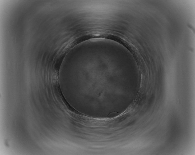 X0000097810048200803141128