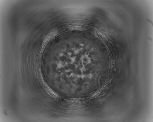 X0000097810049200803141127