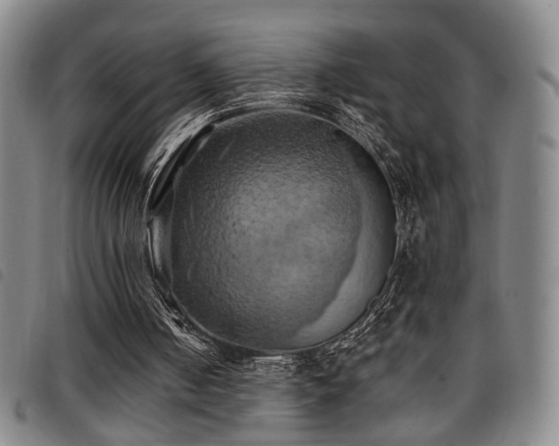X0000097810050200803141127