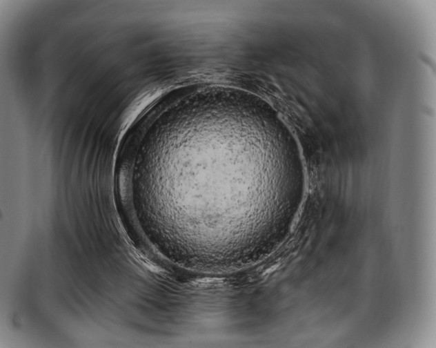 X0000097810052200803141128