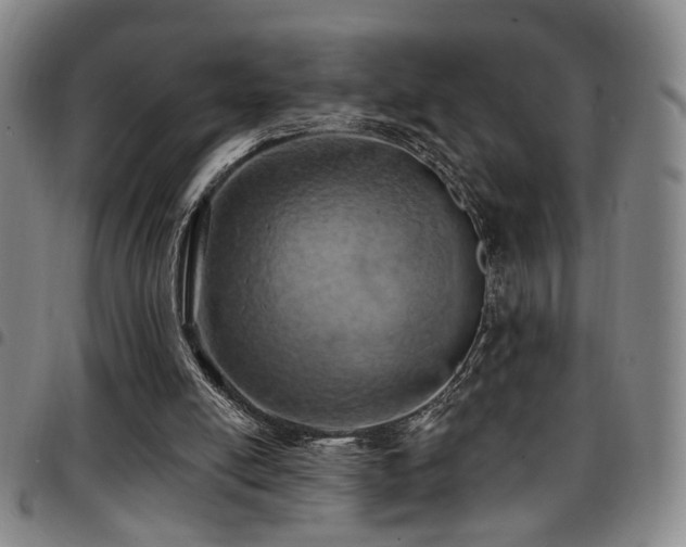 X0000097810054200803141128