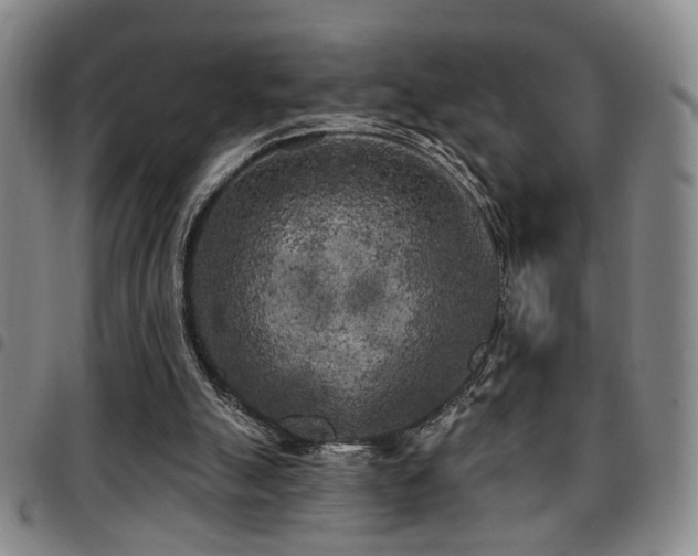 X0000097810055200803141128