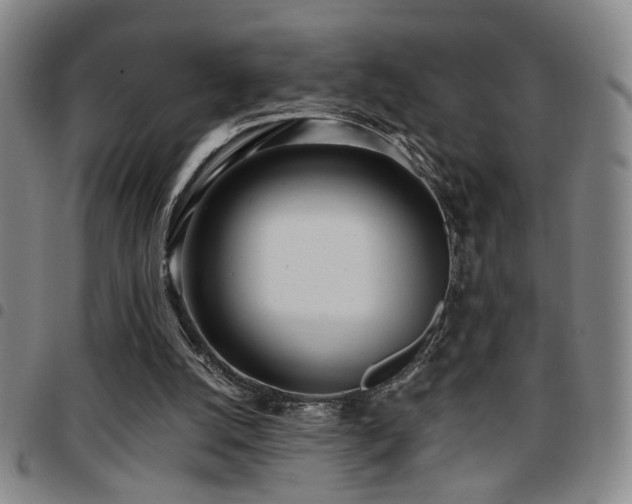 X0000097810056200803141128