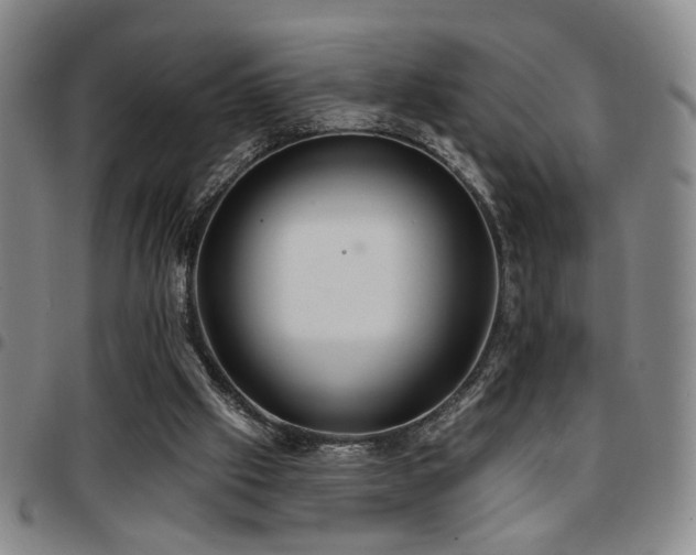 X0000097810057200803141128