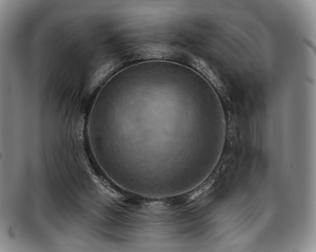 X0000097810058200803141128