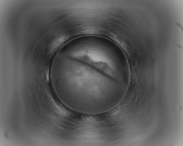 X0000097810062200803141128