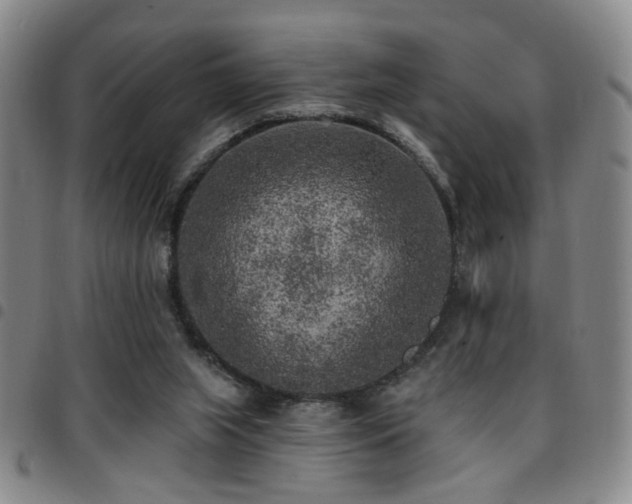 X0000097810063200803141128