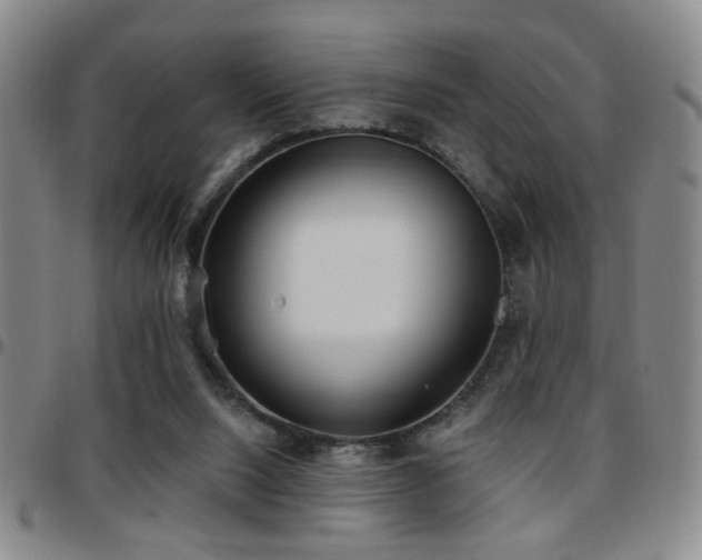 X0000097810064200803141128