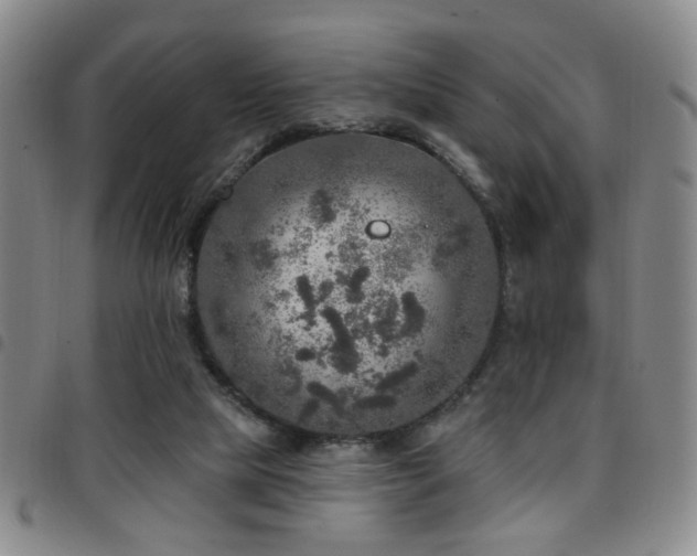 X0000097810065200803141128