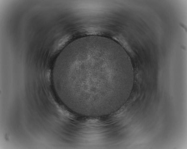 X0000097810066200803141128