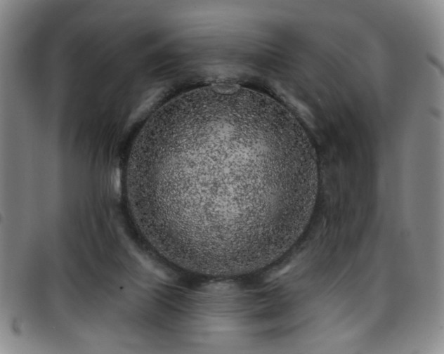 X0000097810067200803141128