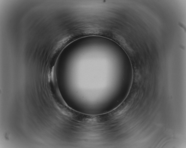 X0000097810068200803141128
