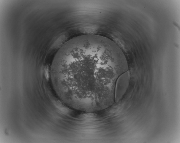 X0000097810069200803141128