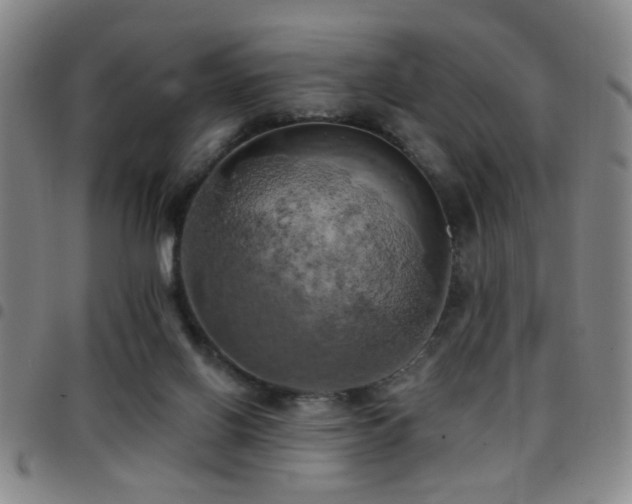 X0000097810070200803141128