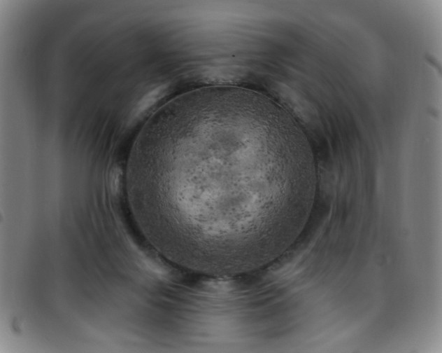 X0000097810071200803141128