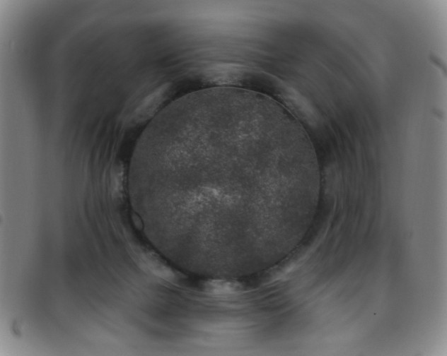 X0000097810073200803141128