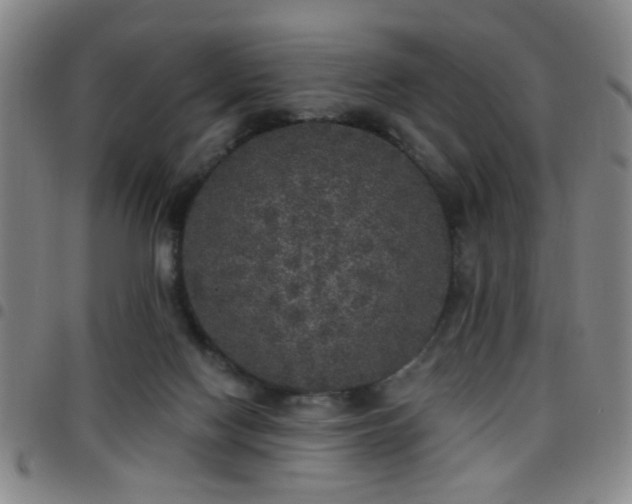 X0000097810074200803141128