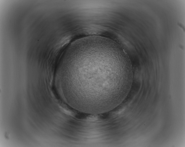 X0000097810076200803141128