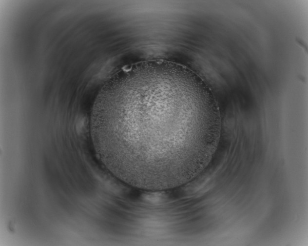 X0000097810079200803141128