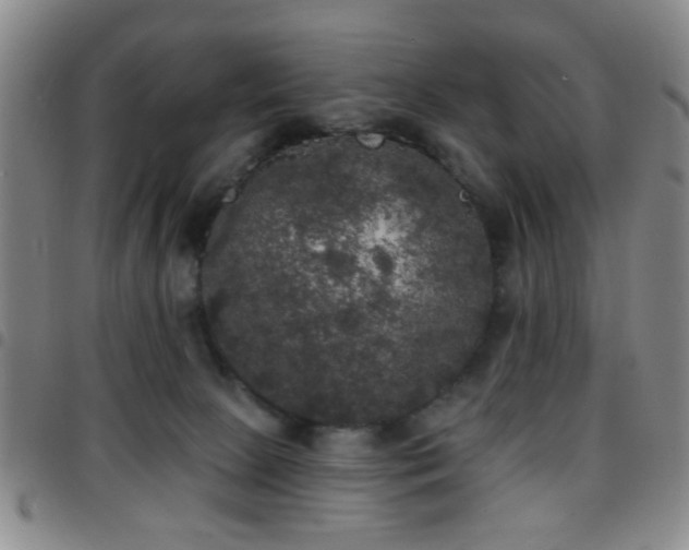 X0000097810081200803141128