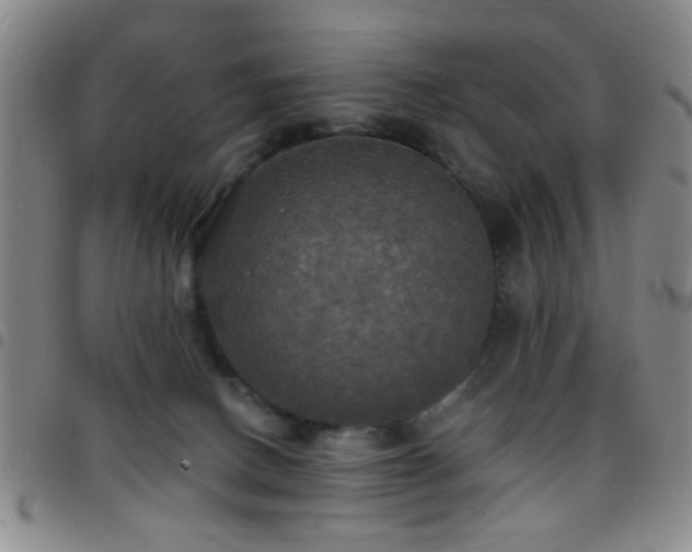 X0000097810082200803141128