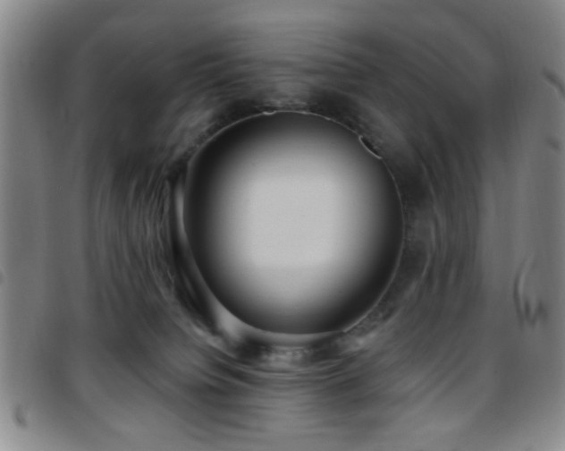 X0000097810084200803141128