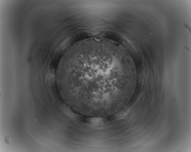 X0000097810085200803141128