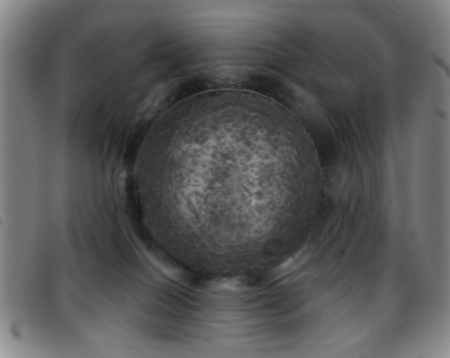 X0000097810086200803141128