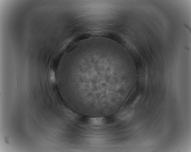 X0000097810089200803141128