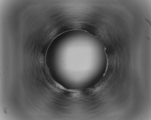 X0000097810092200803141128