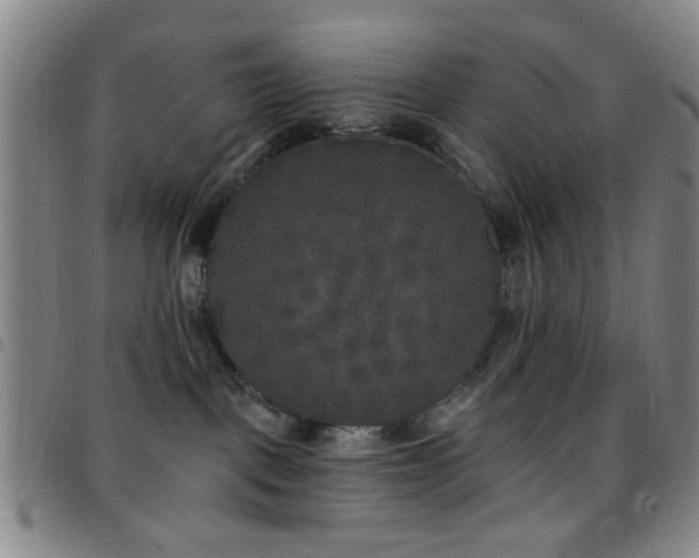 X0000097810093200803141128
