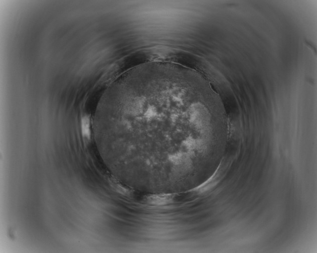 X0000097810094200803141128
