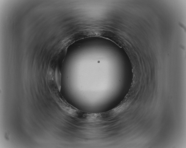 X0000097810096200803141128