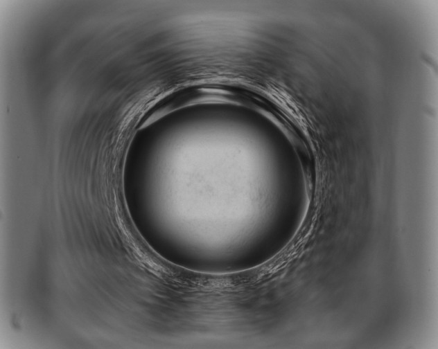 X0000097810097200803141127