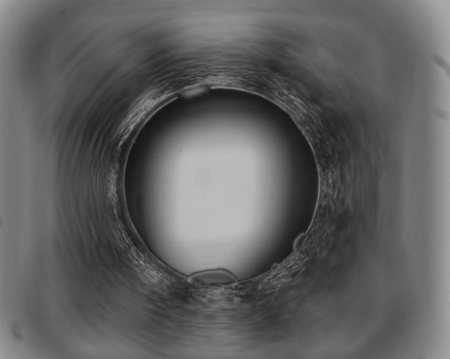 X0000097810098200803141127