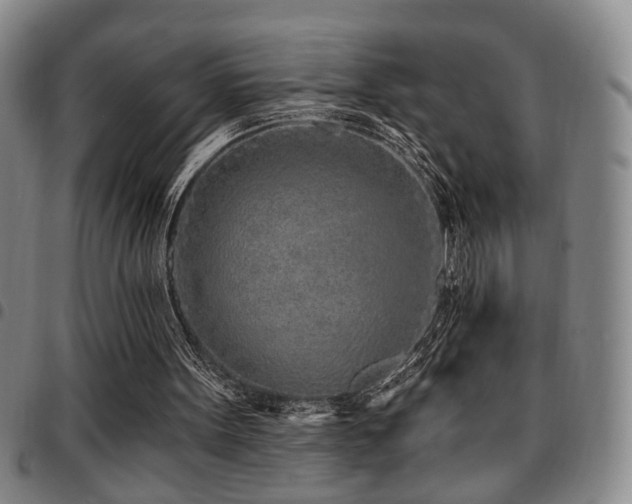 X0000097810099200803141127